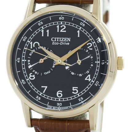 Citizen Dress Eco-Drive AO9003-08E Men's Watch